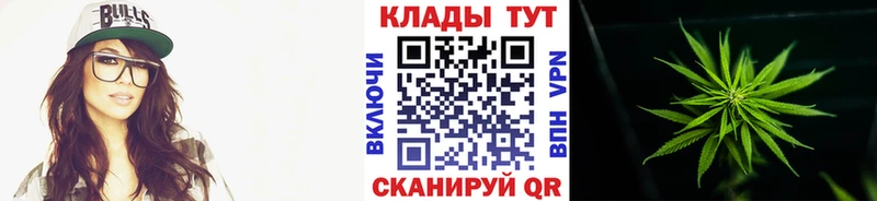 Как найти наркотики Снежногорск Марихуана  Мефедрон  КОКАИН  КЕТАМИН  ГАШИШ 