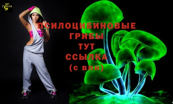 синтетический гашиш Алексин